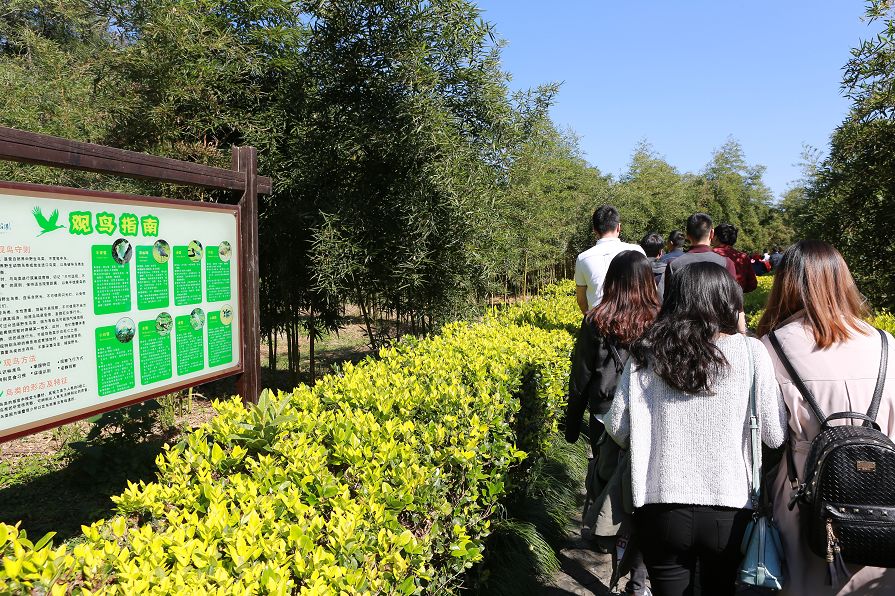 猛烈顶弄H禁欲老师h春潮视频