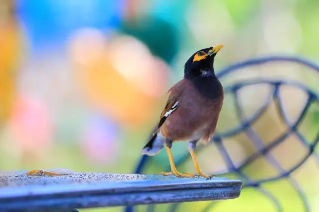 猛烈顶弄H禁欲老师h春潮视频